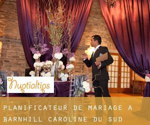 Planificateur de mariage à Barnhill (Caroline du Sud)