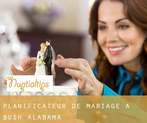 Planificateur de mariage à Bush (Alabama)