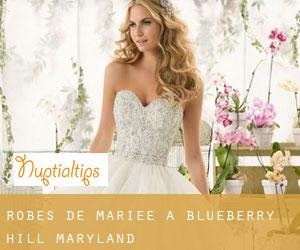 Robes de mariée à Blueberry Hill (Maryland)