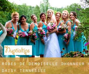 Robes de demoiselle d'honneur à Daisy (Tennessee)