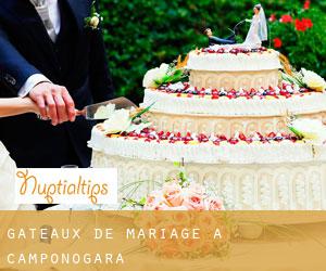 Gâteaux de mariage à Camponogara