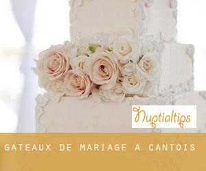 Gâteaux de mariage à Cantois