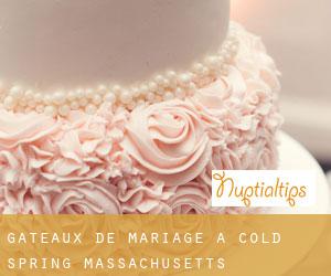 Gâteaux de mariage à Cold Spring (Massachusetts)