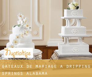 Gâteaux de mariage à Dripping Springs (Alabama)