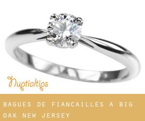 Bagues de fiançailles à Big Oak (New Jersey)