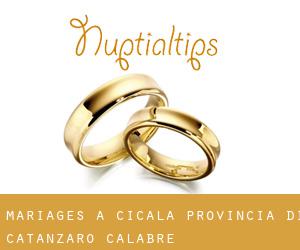 mariages à Cicala (Provincia di Catanzaro, Calabre)